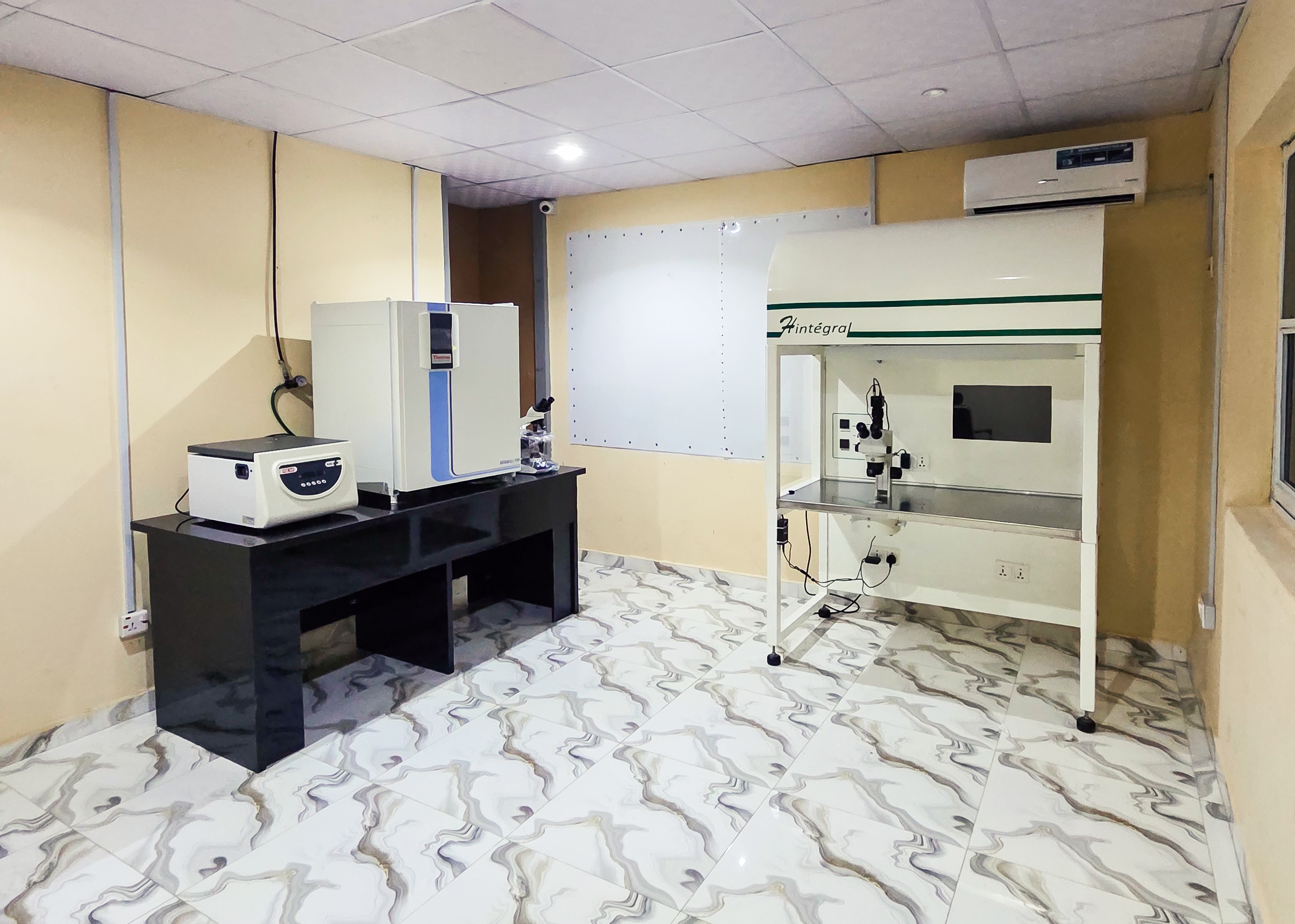 Precision IVF Cultivation